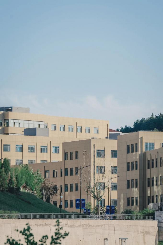 东软新闻社 王韫超拍摄