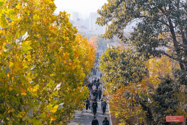 mg4355教师在第十三届辽宁省高等学校思想政治理论课教学大赛中喜获佳绩
