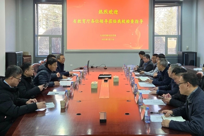 省教育系统校园安全专项调研组到mg4355调研