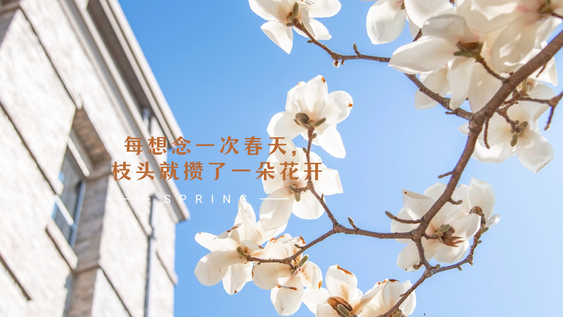 每想念一次春天，枝头就攒了一朵花开